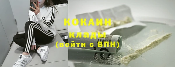 твердый Алексеевка