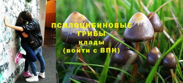 твердый Алексеевка